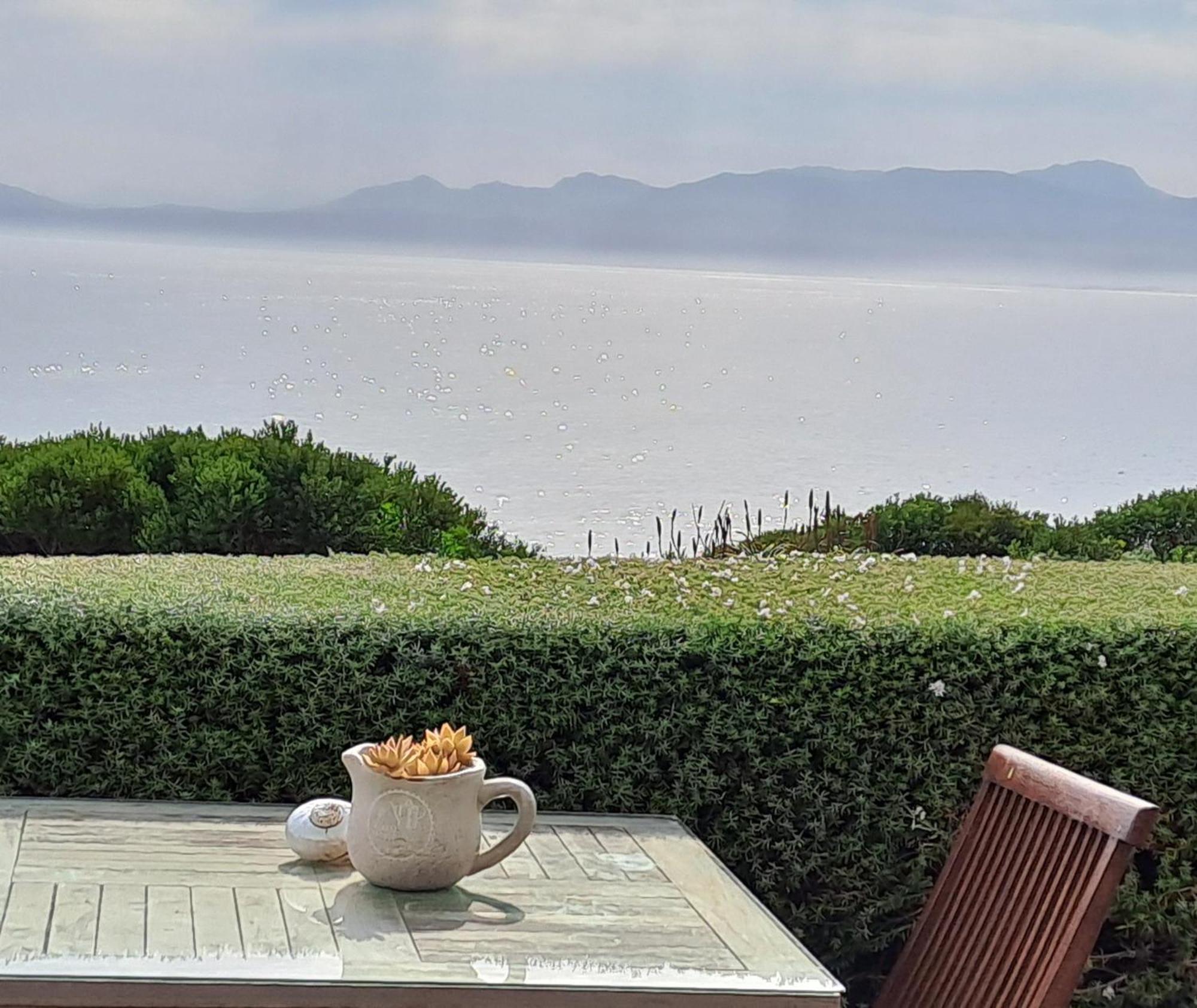 Kleinzee Oceanfront Guesthouse Gansbaai Εξωτερικό φωτογραφία