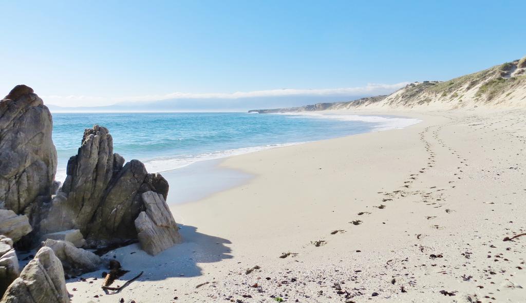 Kleinzee Oceanfront Guesthouse Gansbaai Εξωτερικό φωτογραφία
