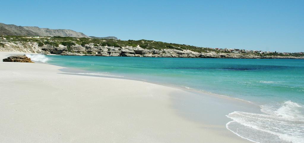 Kleinzee Oceanfront Guesthouse Gansbaai Εξωτερικό φωτογραφία