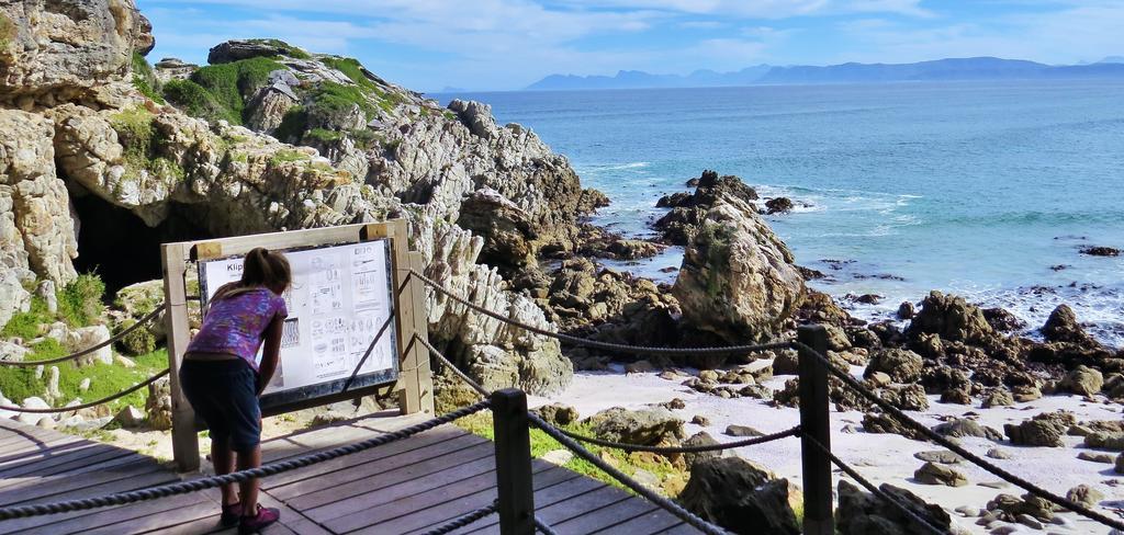 Kleinzee Oceanfront Guesthouse Gansbaai Εξωτερικό φωτογραφία